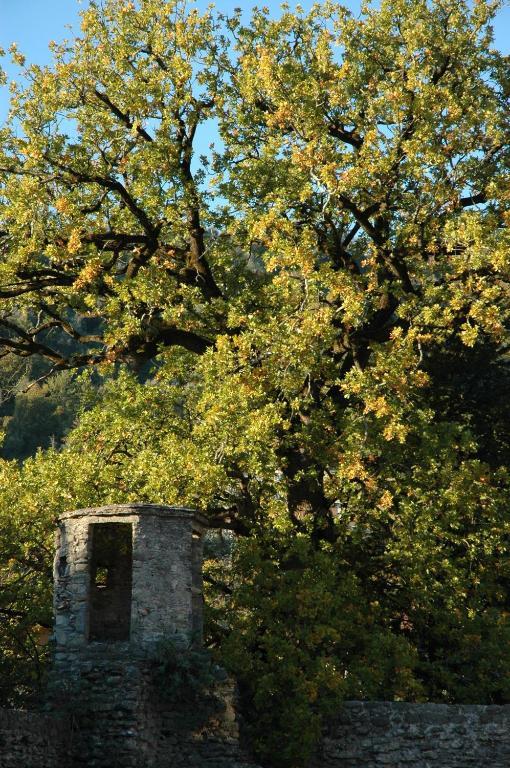 Agriturismo Casteldelpiano Licciana Nardi Экстерьер фото